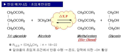 바이오디젤 적용 초임계반응 메커니즘