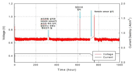 금속표면처리 카본컴포지트 분리판을 이용한 단위전지