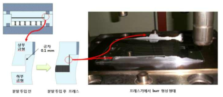 분리판 성형 시 burr가 발생되는 부위 및 프레스 후 burr 발생 사진