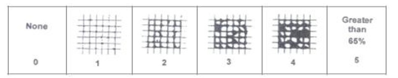 차량에서 도막 부착성 시험시 test 기준(Level 1~5)