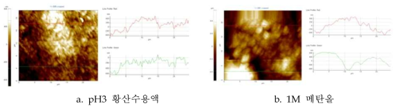 Au/Ni/P30lC70(+CF 3%) 금속표면처리 카본컴포지트 분리판의 leaching test 후 표면조도