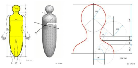 IEC62233에서의 균일 인체 모델