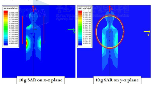 125 kHz 자기공진형 시스템의 SAR 계산 결과(1 Watt 공급시)