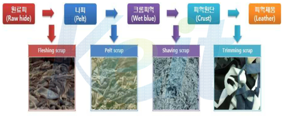 피혁제조공정 및 발생 부산물