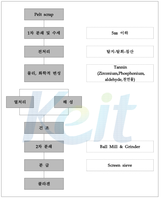 Pelt scrap을 이용한 콜라겐 제조 공정도