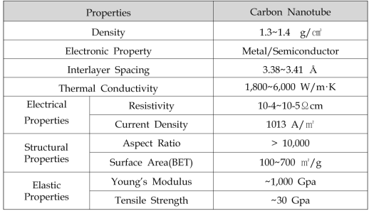 탄소나노튜브의 물리적인 특성