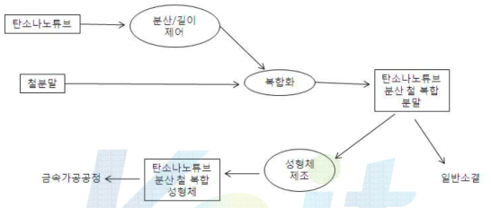 철계 탄소나노튜브 복합재 제조 공정 모식도