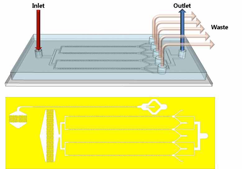 병렬로 연결된 MOFF 채널의 개념도와 채널 내부의 안정적인 유동을 발생시킬 수 있도록 필터와 유체저항을 고려하여 유출부를 디자인한 미세 유체칩 도면