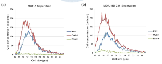 암세포주의 크기 분포와 분리 결과
