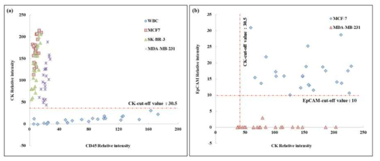 세포 특성에 따른 Cytokeratin과 EpCAM의 형광 intensity 정량화