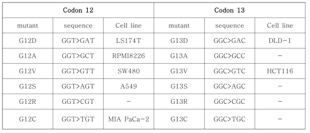 KRAS 유전자의 돌연변이 종류와 세포주