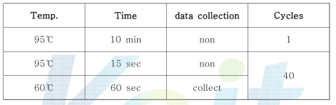 Real-time PCR condition