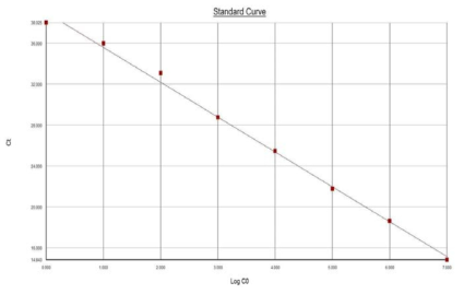 Cpoy별로 희석한 CK-19 유전자의 실시간 유전자 증폭 결과의 Standard curve.