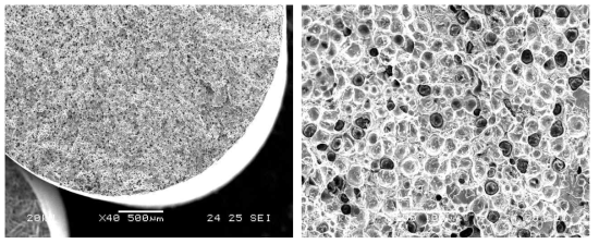 SEM views on fractured surface of tensile fractured specimen(FCD450) of the caliper