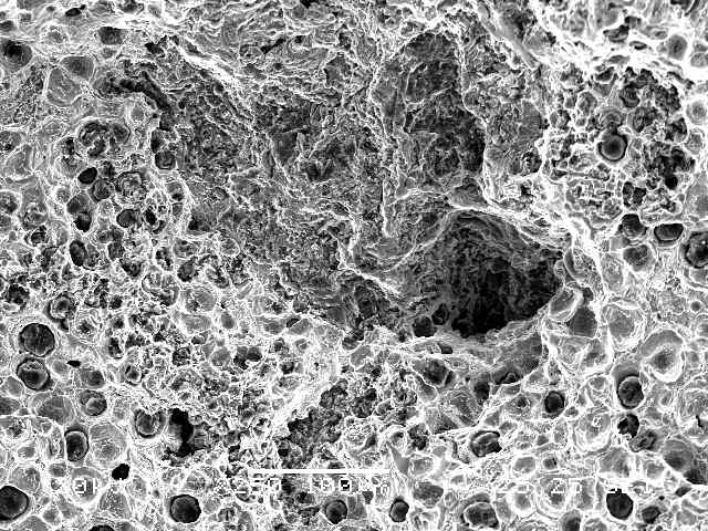 SEM view of inclusions and micro-pores on fractured surface of tensile fractured specimen(FCD450) of the caliper