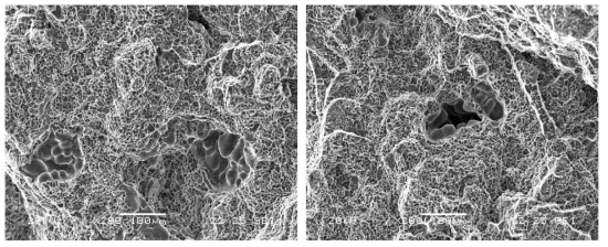 SEM view of micro-pores on fractured surface of tensile fractured specimen(357.0 aluminum alloy) of the caliper