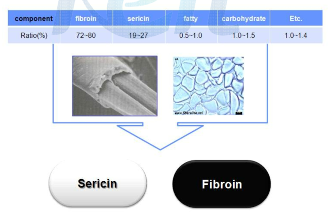 실크의 구조 및 성분비