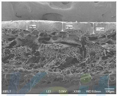 SEM 사진을 통한 hot fuse 원단의 단면도