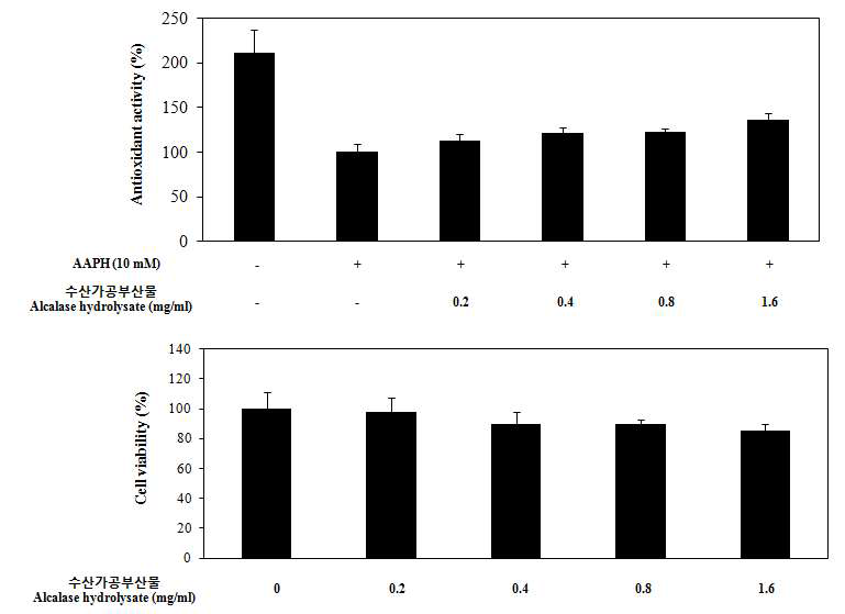 Vero cell에서 확인한 세포 독성 및 항산화 활성