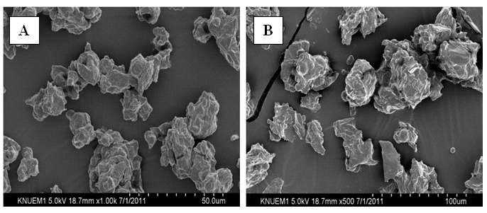 Scanning electron microscope image for nanopowdered peanut sprout(A) and powdered peanut sprout(B)