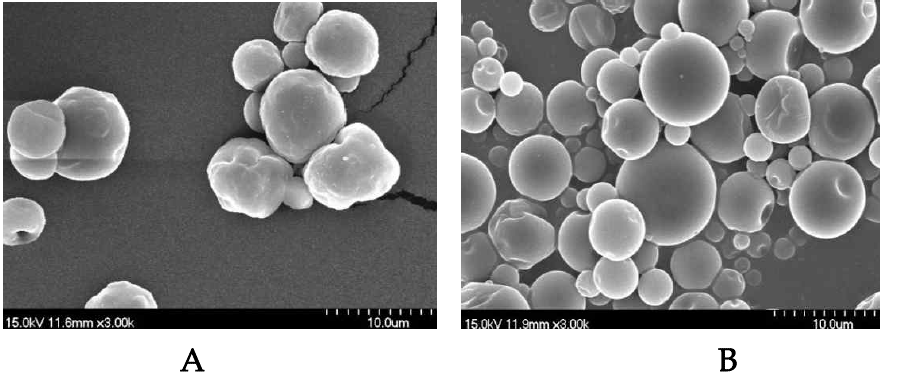 Scanning electron microphotographs of spray-dried microcapsules for peanut sprout extracts