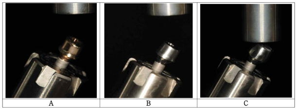 만능시험기 고정용 지그에 고정된 임플란트-지대주 시편의 모습