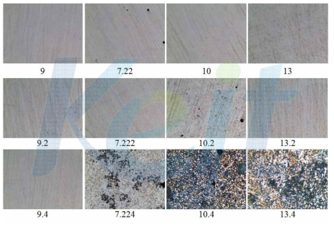 변색저항성 시험 후 합금 표면의 광학현미경 사진