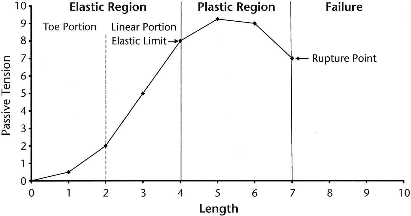 Passive length-tension curve