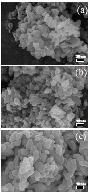 FE-SEM pictures of samples solvent-treated at (a) 90 ℃, (b) 110 ℃, and (c) 140 ℃ for 3 h.