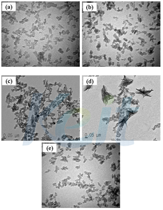 TEM micrographs of ε-CuPc samples with various additives; (a) TiOPc, (b) TNCuPc, (c) PICuPc, (d) tetrasulfonic acid tetrasodium salt CuPc, and (e) TCCuPc.