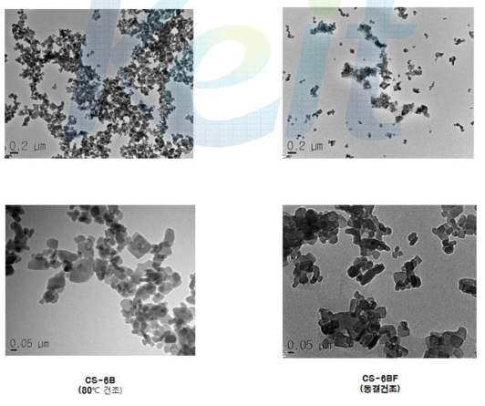 80℃건조와 동결건조의 TEM 분석.