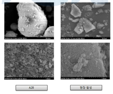 현장 합성물 FE-SEM 분석