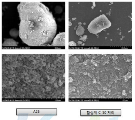 활성제 C-50처리 FE-SEM 분석