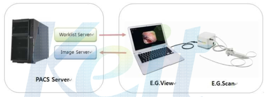 PACS Server 연계 구조