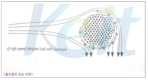 골프공의 역학분석