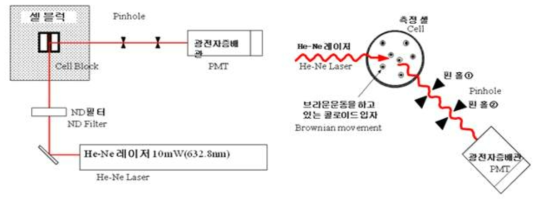 DLS 장치 구성 및 측정 원리