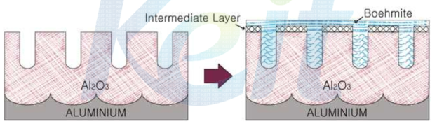 알루미늄 양극산화 피막의 수화 봉공 메커니즘
