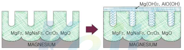 마그네슘 양극산화 피막의 수화봉공 메커니즘