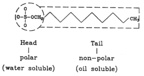 The structure of the surfactant.