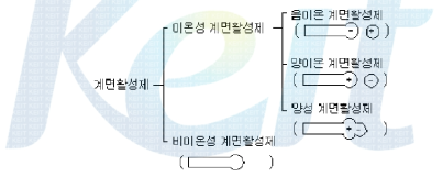 Gender classification by action of the surfactant.