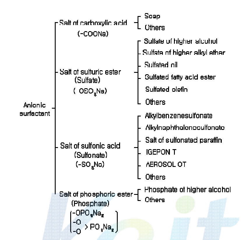 Classification of anionic surfactants.