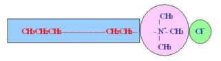 The structure of cationic surfactants.