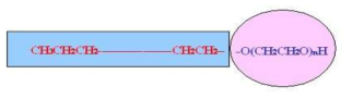 The structure of a non-ionic surfactant.