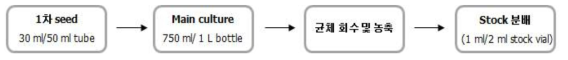 TIP-myostatin 표면발현 면역유산균의 master cell bank 구축을 위한 배양 진행 단계.