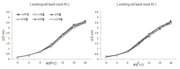 TIP-myostatin 발현 면역유산균 working cell bank stock 1차 seed 성장 변화.