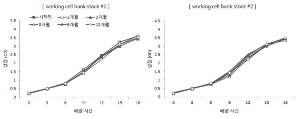 TIP-myostatin 발현 면역유산균 working cell bank stock 계대배양 성장 변화.