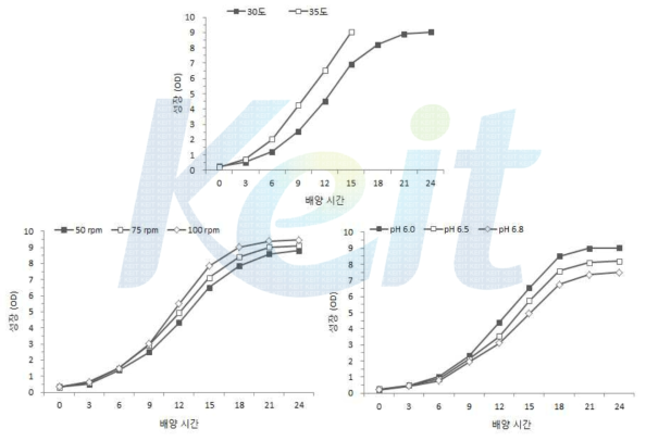 온도, 교반 속도, pH 조건에 따른 유산균 성장 변화.