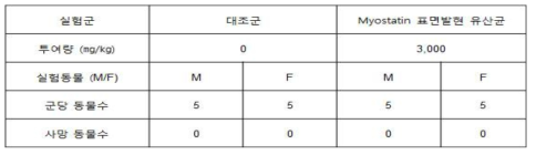 TIP-myostatin 표면발현 유산균 랫트 대상 단회투여 독성확인.