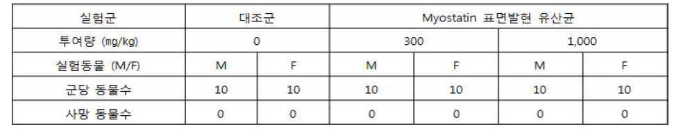 TIP-myostatin 표면발현 유산균 랫트 대상 단회 투여 증가 투여 독성 확인.