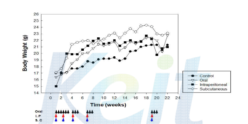 투여방식별 TIP-myostatin 표면발현 유산균을 투여한 마우스의 체중 변화.